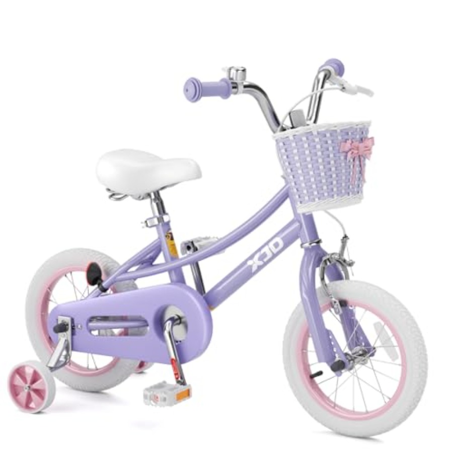 Bicycle Kickstand - 20 Inch Retro Style Girls Bike