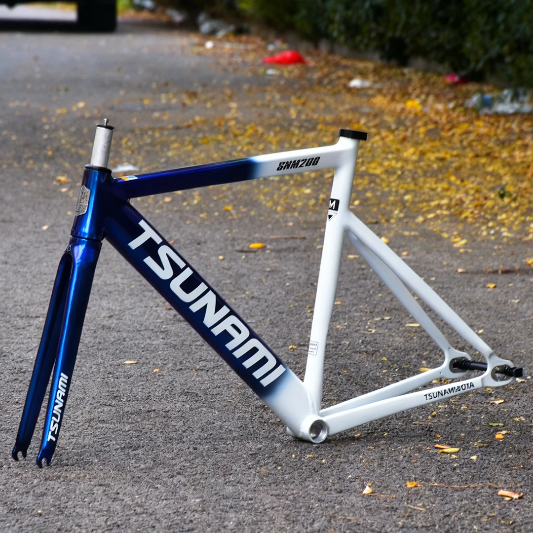 SNM200 Aluminum Alloy Fixed Ge – Cycling Gear For Commuting Bewertung und Preis