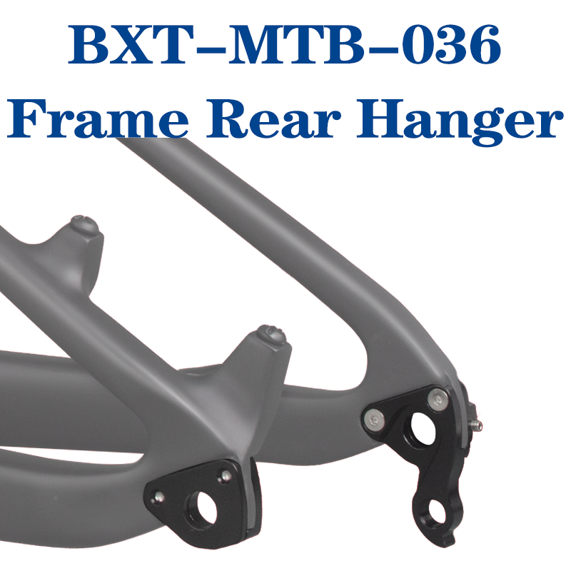 BXT-MTB-036 Frame Rear Hanger  – Bicycle Kickstand Bewertung und Preis